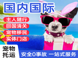 温州龙湾国际宠物托运 【国